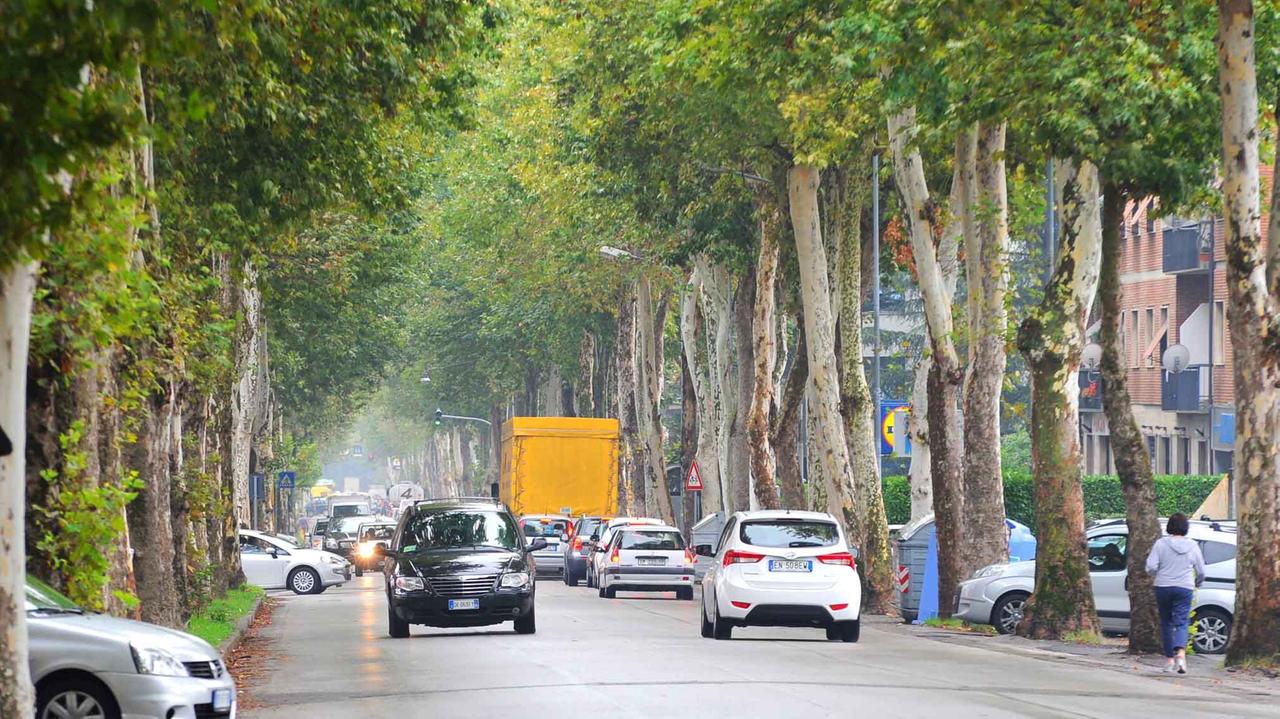 Viale Adua intasato dal traffico (foto Lorenzo Gori)