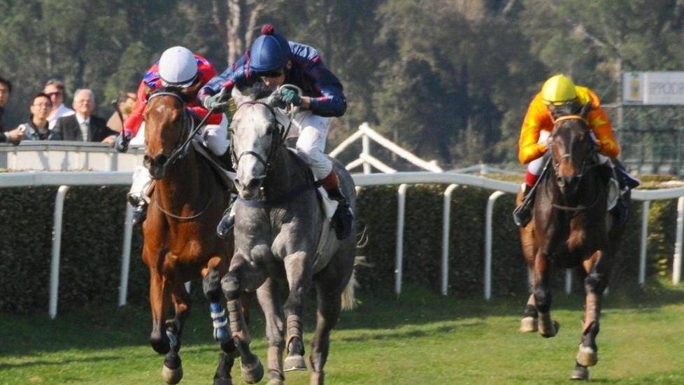 A San Rossore i premi “Rook” e “Andreina”