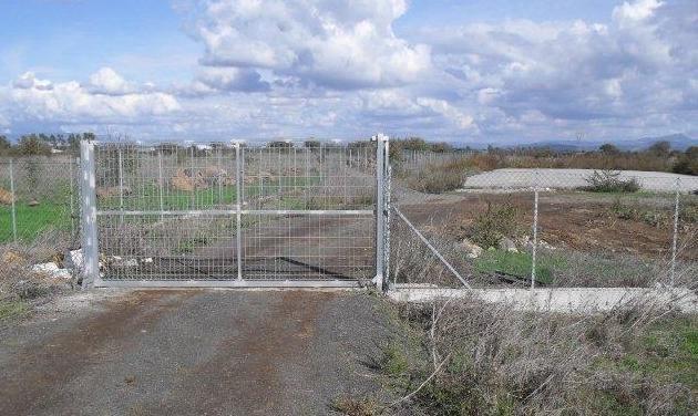 Abbandona il cane, denunciato 