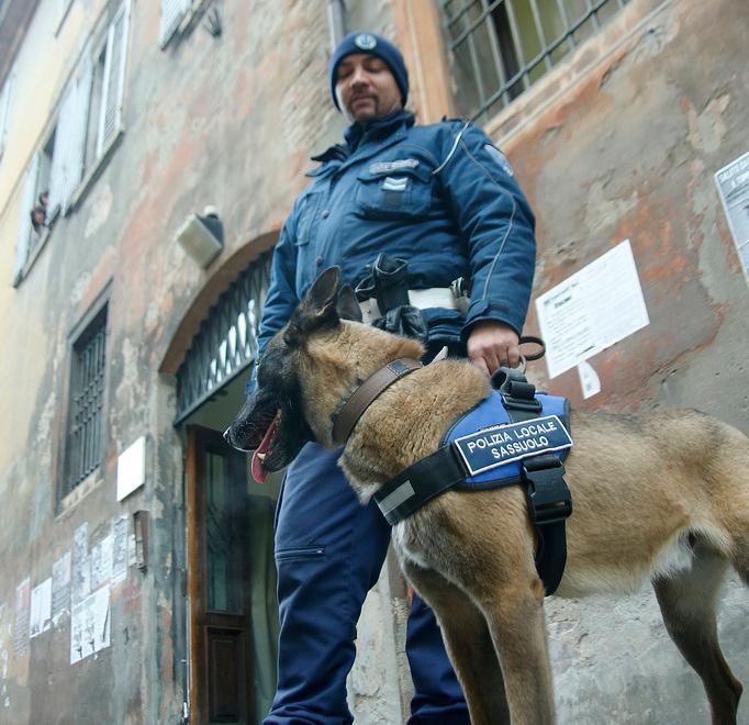 «Nelle scuole tanti insospettabili che spacciano»