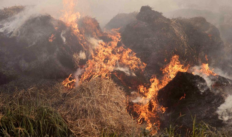Piromane in una azienda bruciate 60 rotoballe 