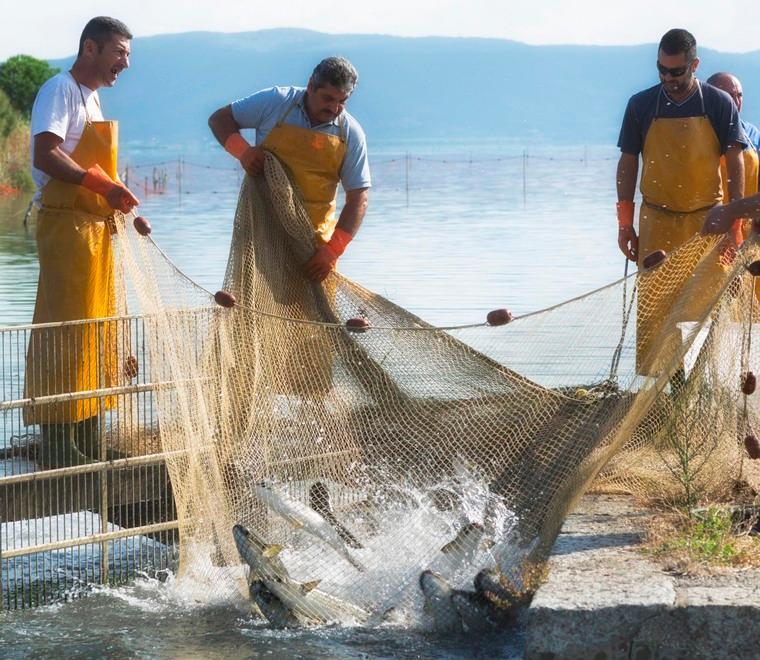 La pesca nella Laguna di Orbetello praticata secondo la tradizione 