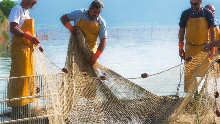 La pesca nella Laguna di Orbetello praticata secondo la tradizione