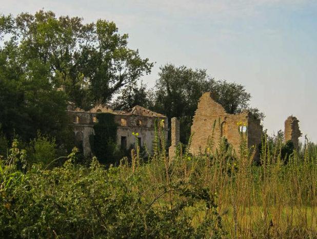 Villa Boccaccini (foto Stefano Pini)