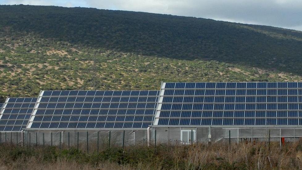 Serre fotovoltaiche, l’opposizione contesta il sindaco
