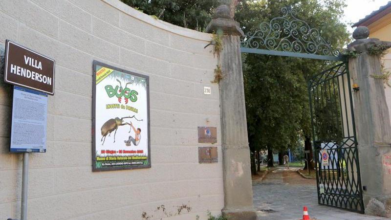 Per i bambini arriva il campus pasquale al museo