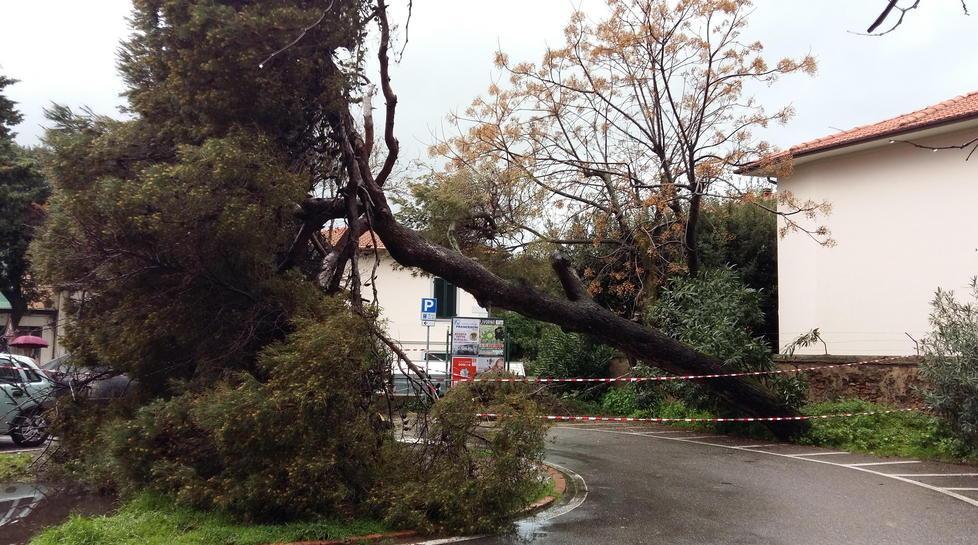 Crolli e incidenti: disagi anche in città per il maltempo 