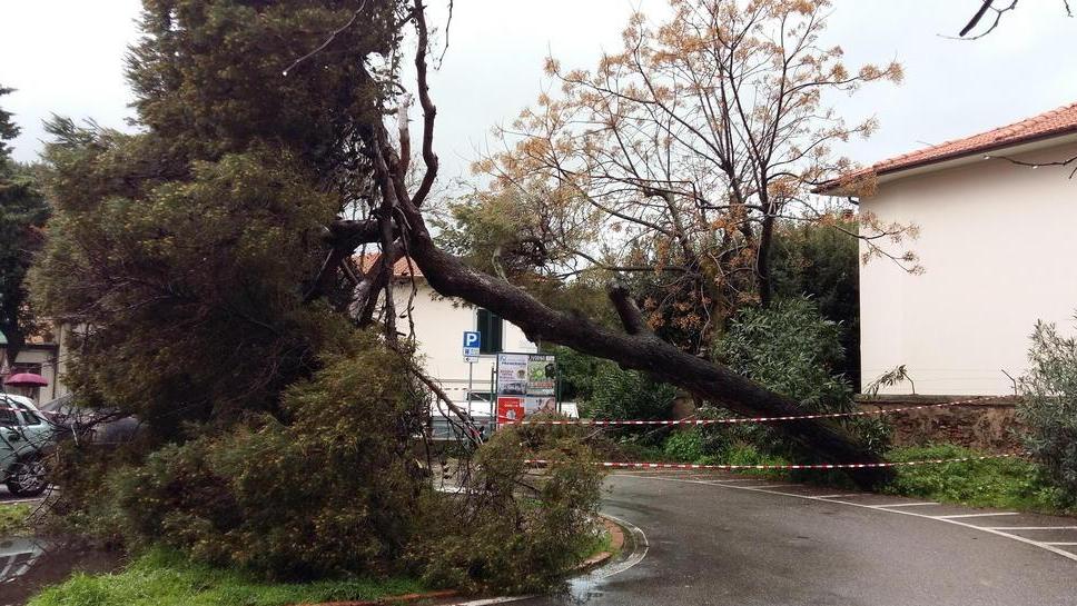 Crolli e incidenti: disagi anche in città per il maltempo