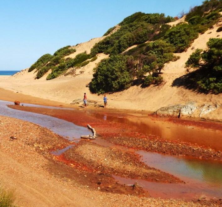 Ecologisti in campo per Piscinas 