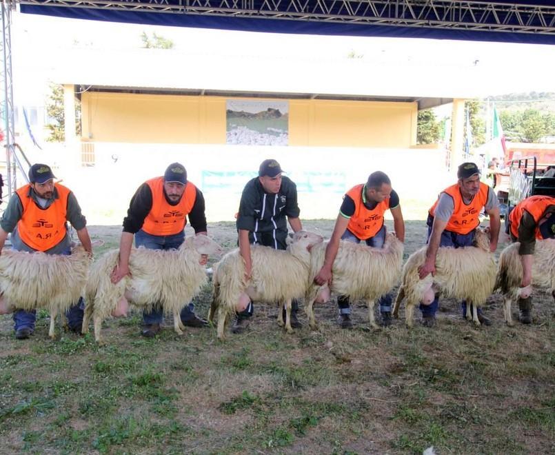 Tre Fiere con eccellenze e novità 