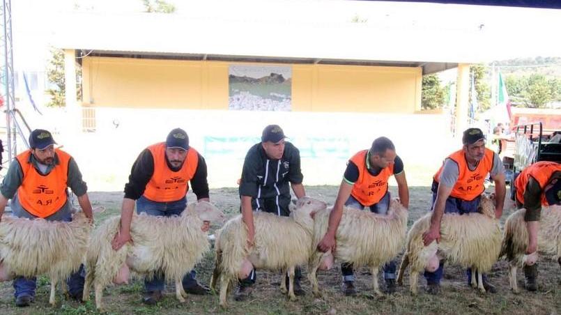 Tre Fiere con eccellenze e novità