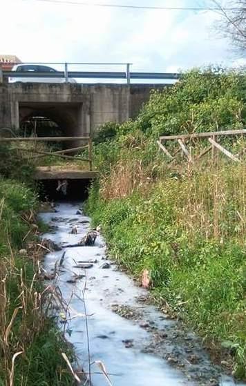 Sostanze nocive sul rio Siniscola 