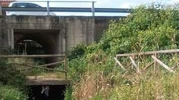 Sostanze nocive sul rio Siniscola