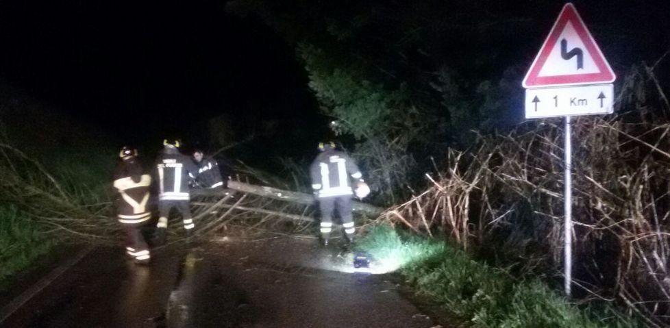 Vento a Concordia, un albero cade sulla strada e la chiude