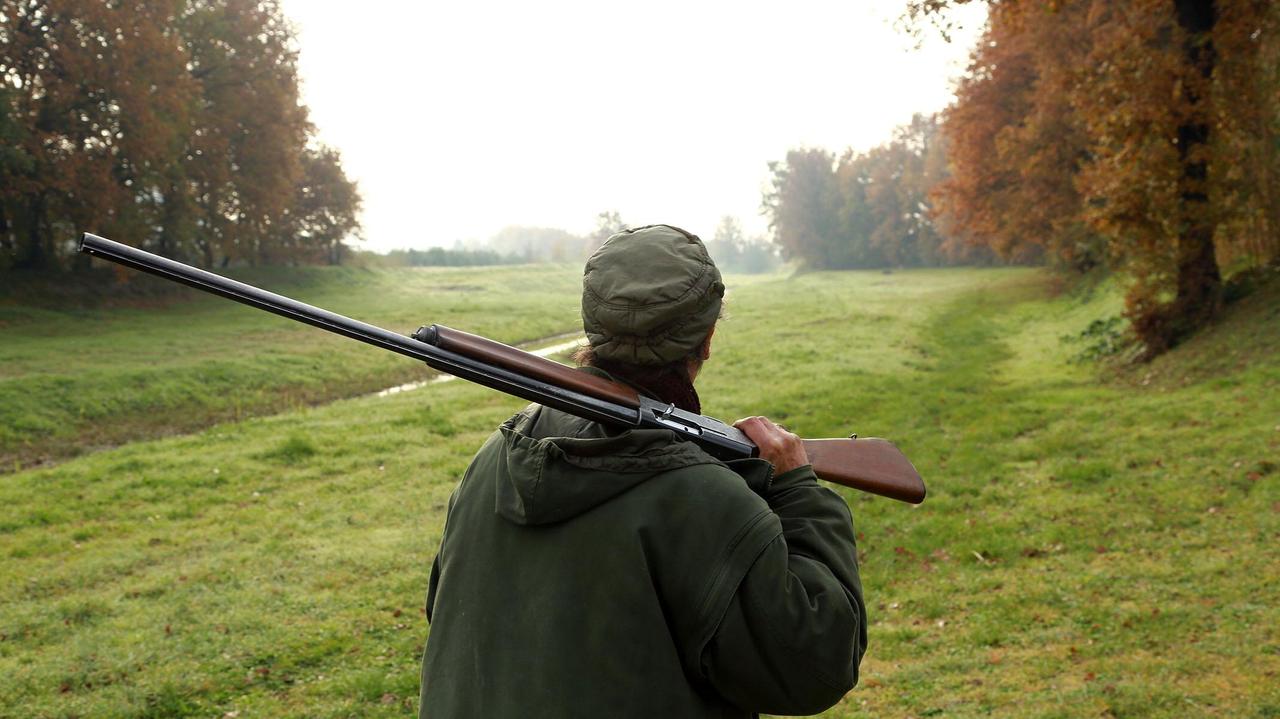 Uccide il capriolo, ma i lupi glielo divorano