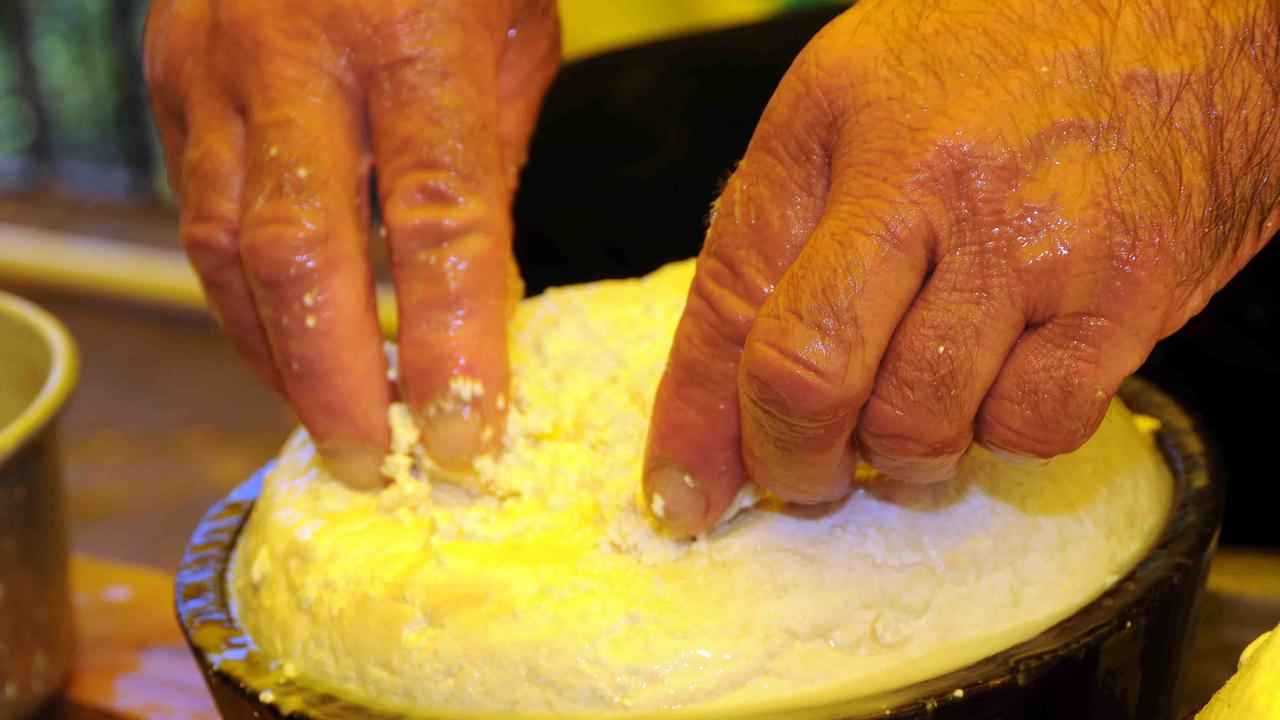 Nulvi, prodotto il formaggio che nasce dal maiale 