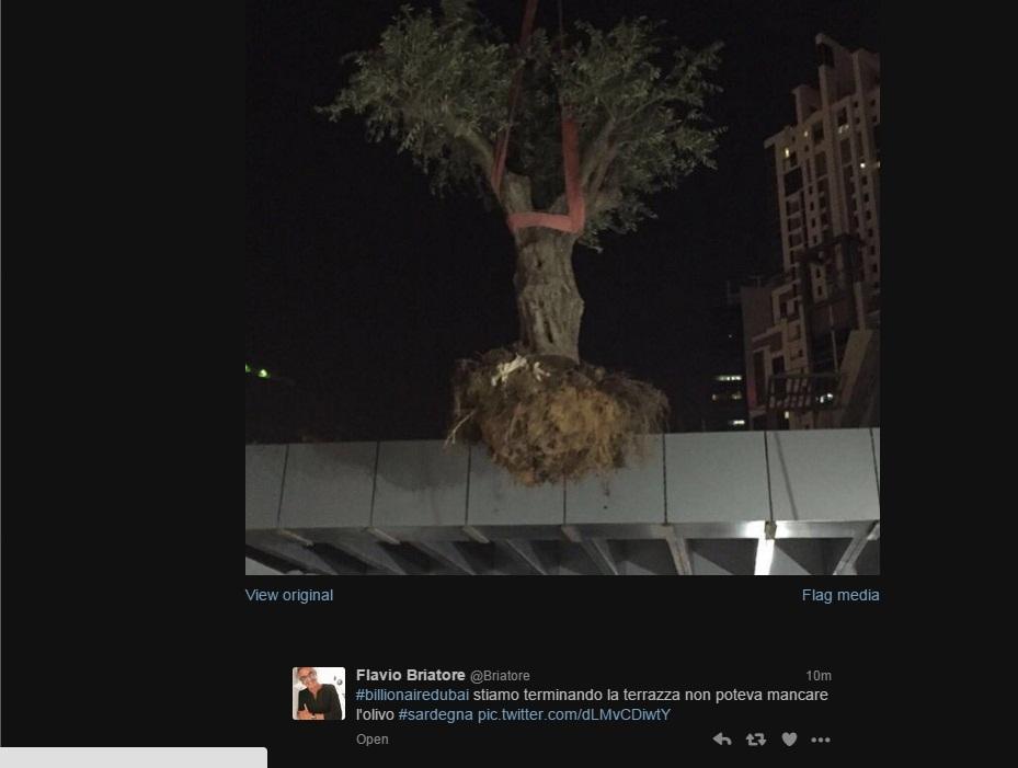 Lo screenshot del tweet pubblicato da Flavio Briatore e rimosso dopo pochi minuti