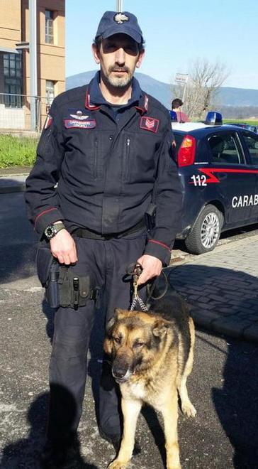 Hashish nei bagni delle scuole scovato dal cane antidroga 
