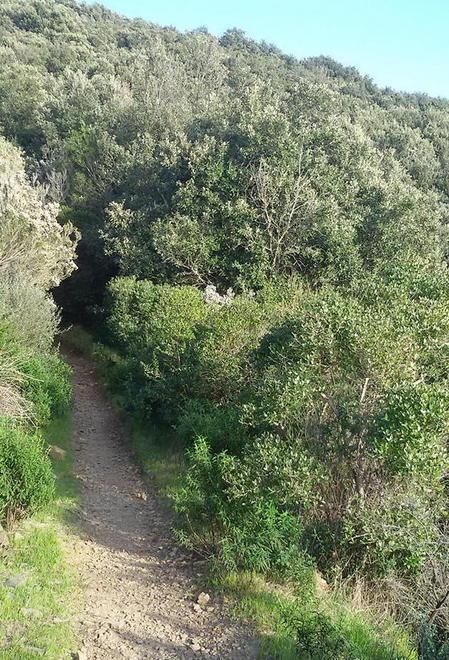 Bando per disoccupati, le domande entro l’11 marzo