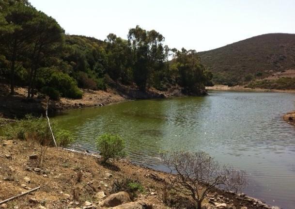 Asinara: acqua alla Multiservizi 