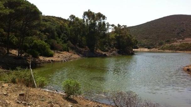 Asinara: acqua alla Multiservizi