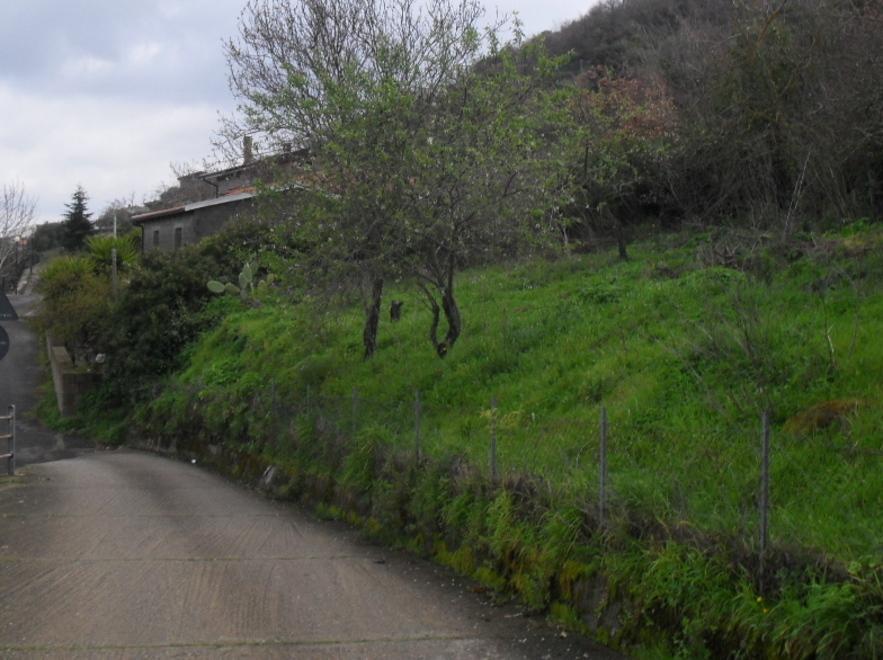 Furti dei mezzi e dissesto, Comune nei guai 