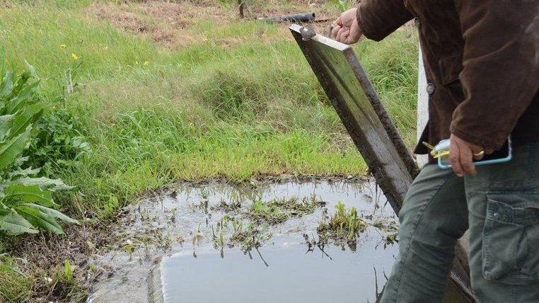 Allarme a Pittulongu: un fiume di liquami scende verso il mare
