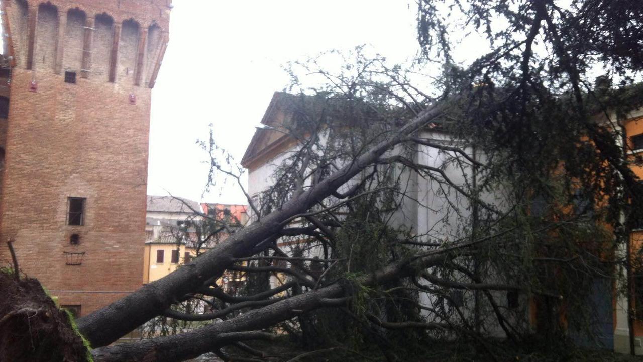 Pioggia e forte vento con danni. Neve in Appennino fino a quote basse