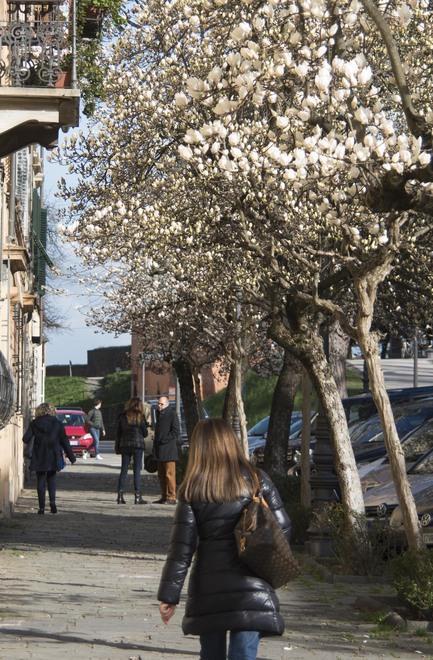 Corso Garibaldi poesia di marzo 