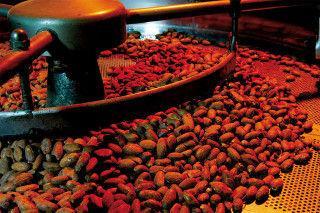 Cacao al negozio Vestri in Borgo Albizi