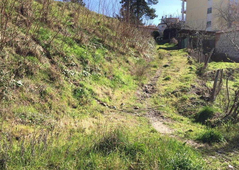 Torna alla luce l’antica strada leopoldina 