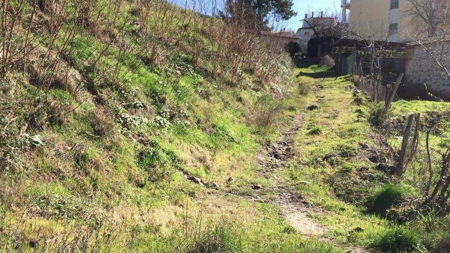 Torna alla luce l’antica strada leopoldina
