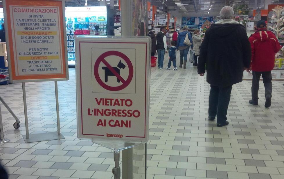 Cani nei locali, il Comune disciplina l’accesso 