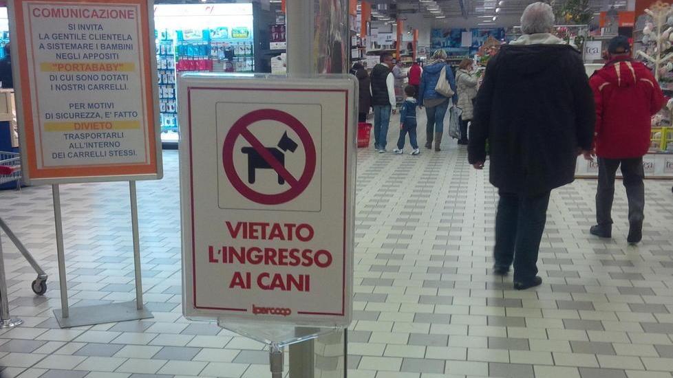Cani nei locali, il Comune disciplina l’accesso