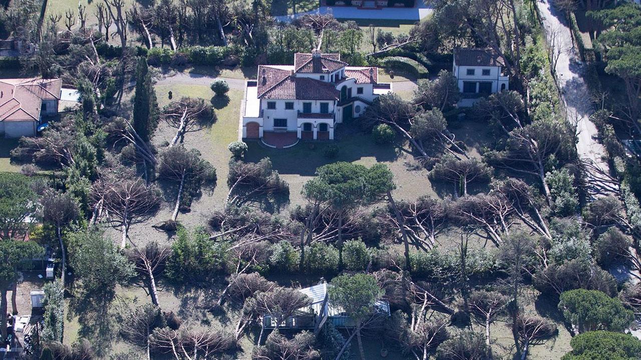 I pini giù come birilli nella Forte dei Marmi devastata dal tornado: era il 5 marzo 2015