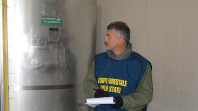 L’olio “Igp” toscano era pugliese e greco