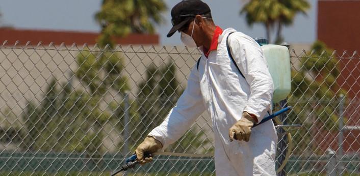 Caccia grossa ai topi, il primo intervento sarà in centro storico 