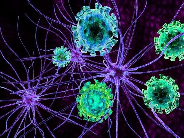 Meningite, il caso Toscana nel 2016 