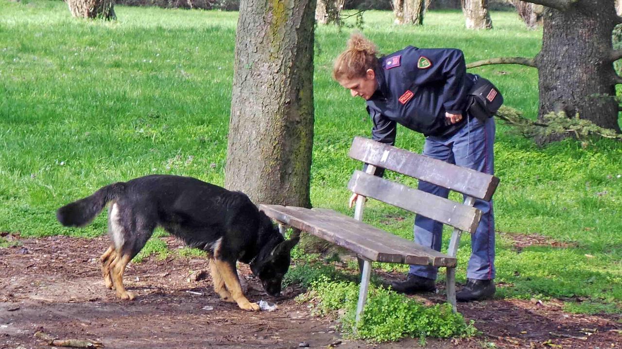 Assedio con i cani antidroga ai nascondigli dei pusher