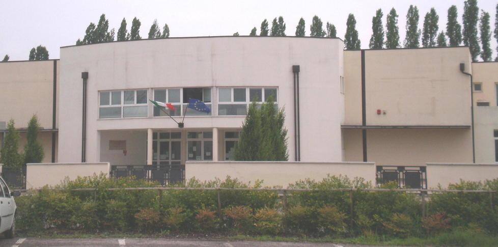 Bondeno, allerta topi scuola. Mandati in tilt gli impianti 