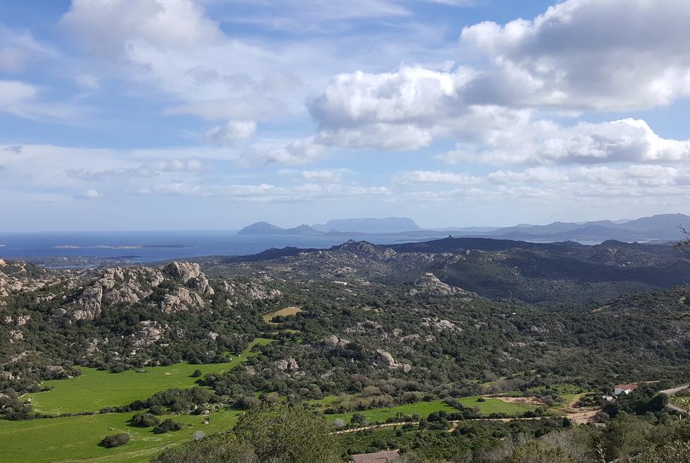Porto Cervo, 80 ville con piscina a “La Mendula”: forestali a caccia di falsi agricoltori 