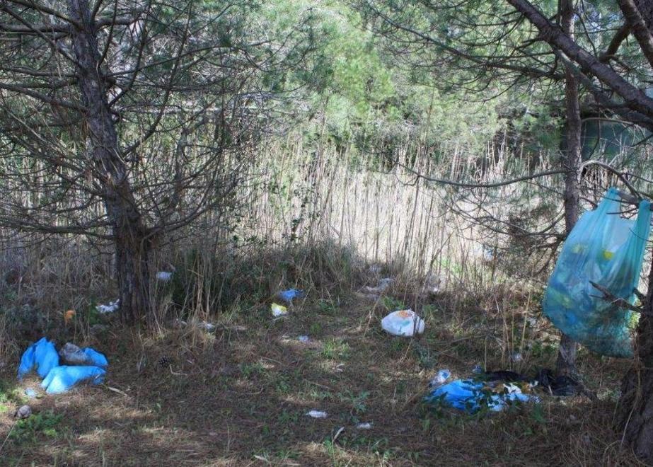 Rifiuti in pineta, danni in spiaggia: “schiaffo” al litorale