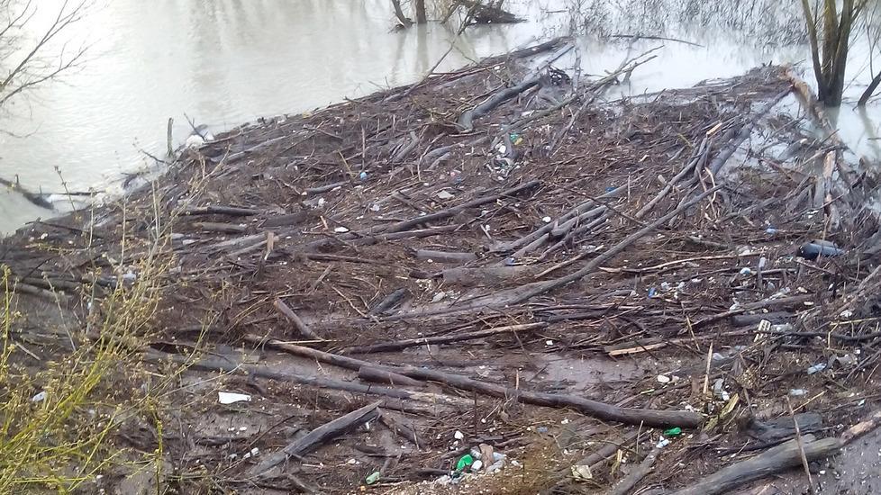 Troppi tronchi nel Reno Il ponte chiuso “a tempo”