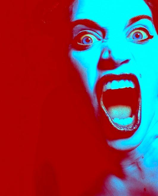 «Il pudore? Bisogna averlo della stupidità» 