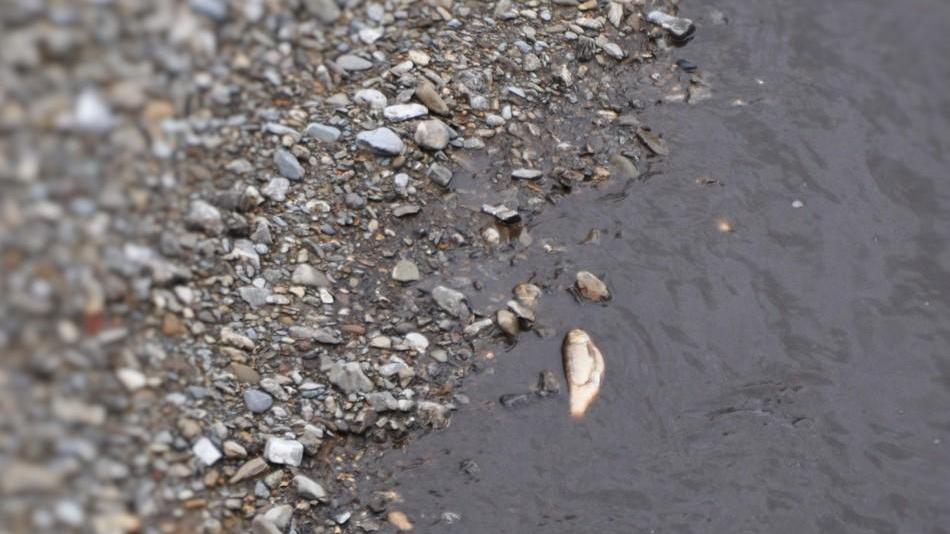 Sversamenti dalle centrali nei fiumi