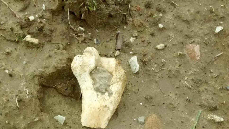La Gesam rassicura «Colpa della pioggia»