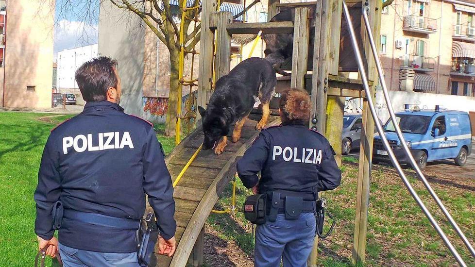 I cani a caccia di droga Continua l’assedio in Gad