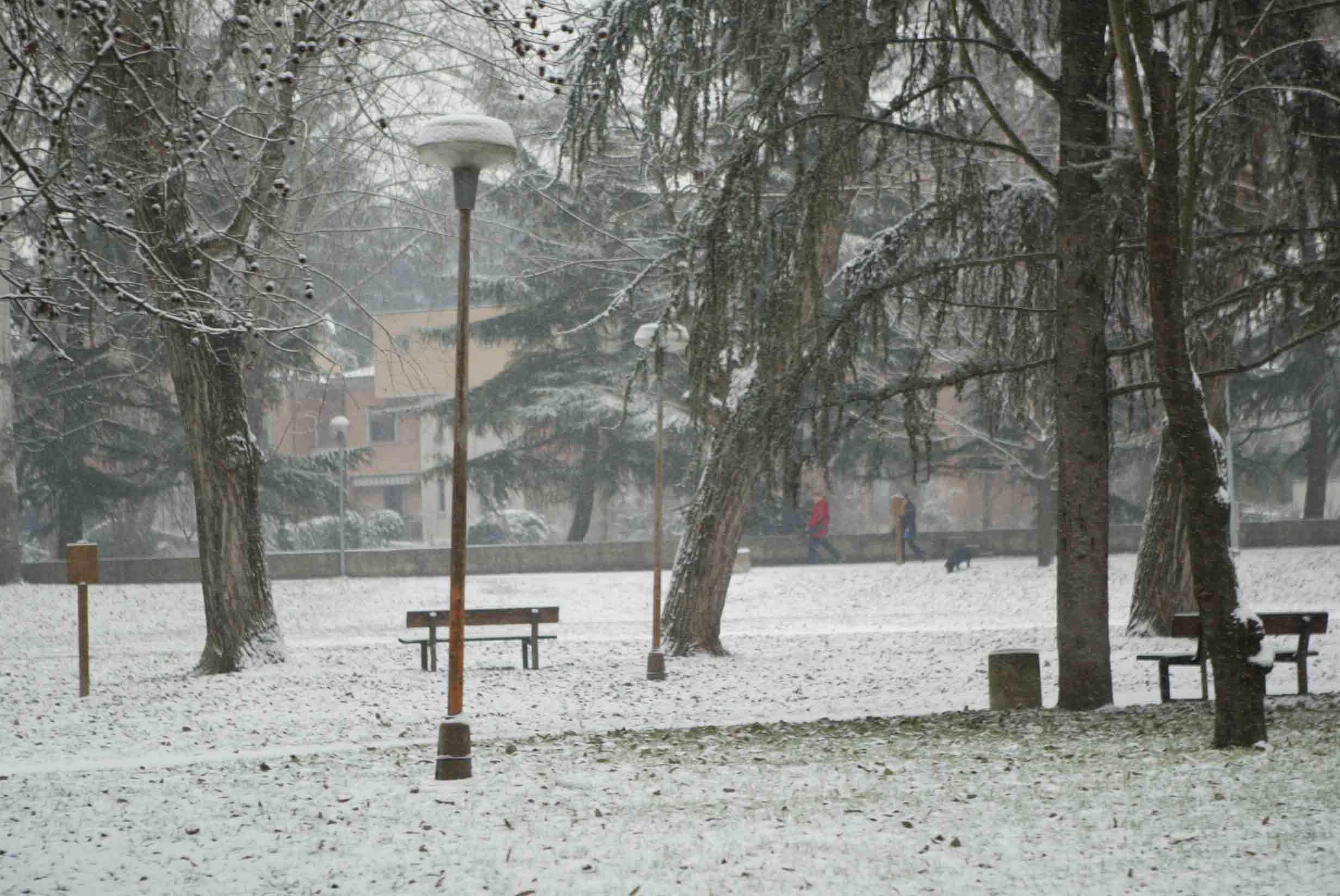 Reggio Emilia, arriva la neve in collina: attesi fino a 25 centimetri 