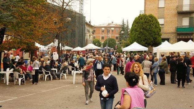 «Siamo in quattro gatti», la Pro loco di Felina “congela” l’attività