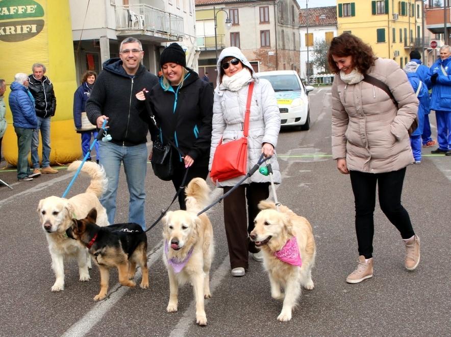 Scatta il provinciale su strada Vaskovniuk e la Chubak primi 